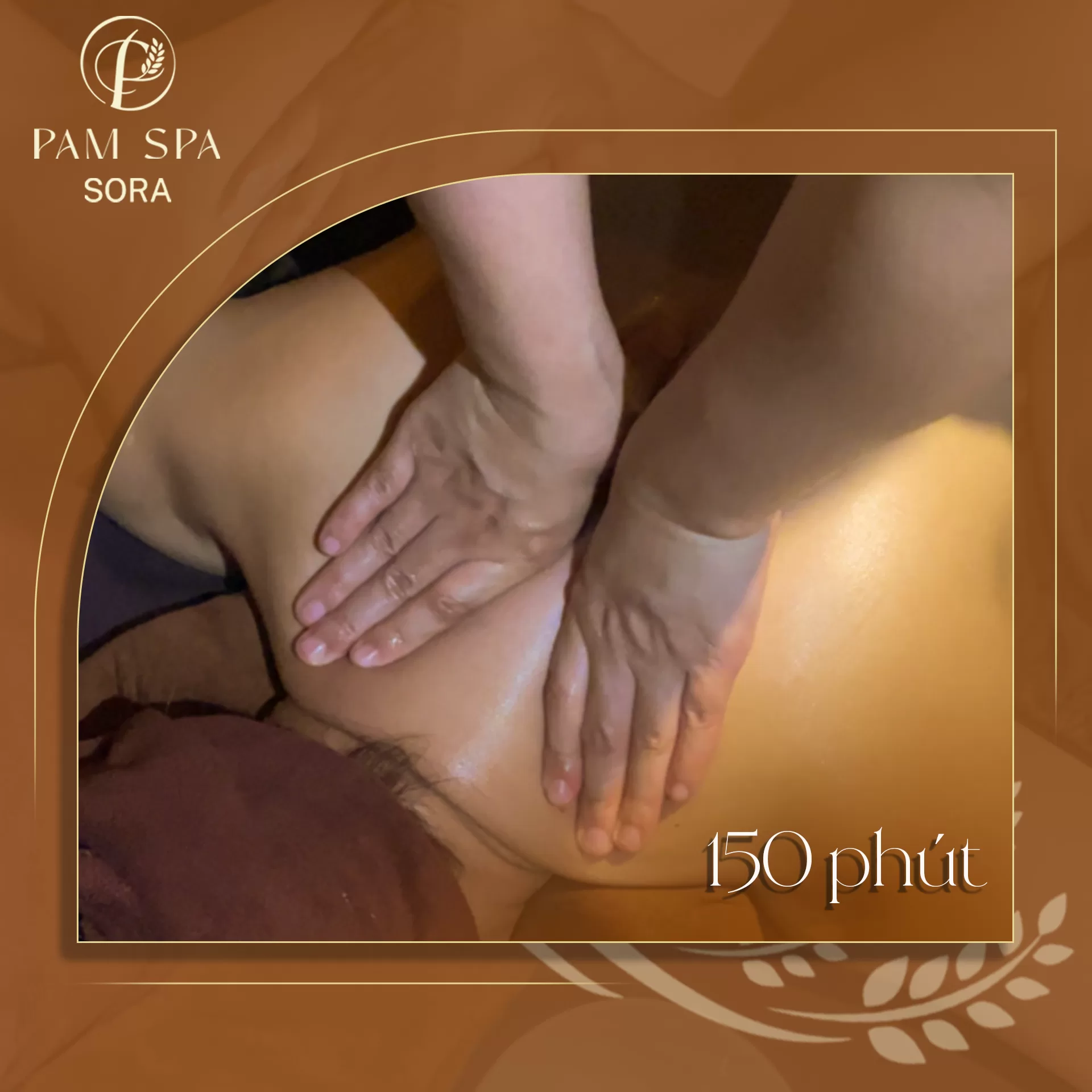 Combo Gói 4 – Trải nghiệm chăm sóc toàn diện cao cấp